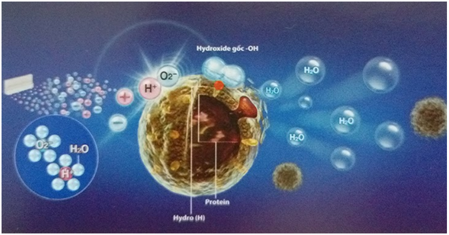 Công nghệ Plasmacluster ion đem lại những hiệu quả tối ưu