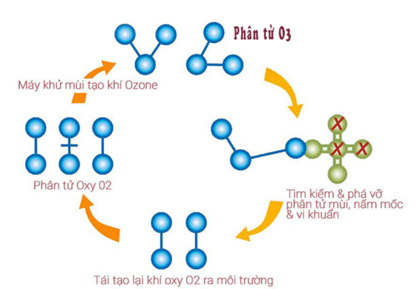 Nguyên lý hoạt động của Công nghệ diệt khuẩn Ozone