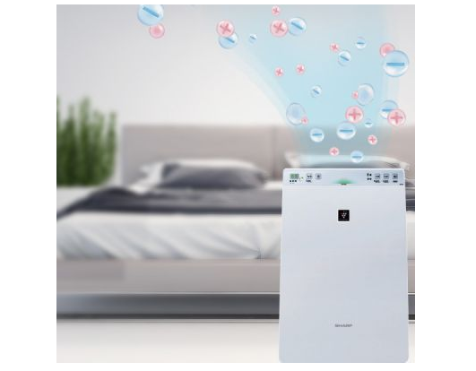 Máy lọc sẽ giữ cho phòng trong lành cả ngày