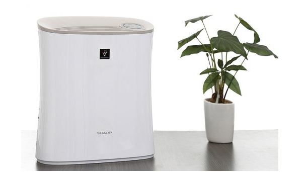 Một chiếc máy lọc vừa vặn cho căn phòng